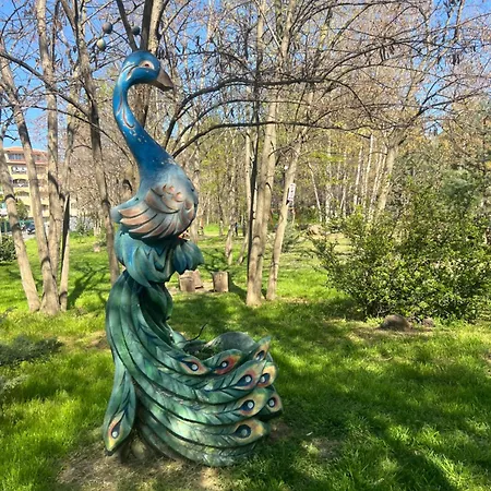 Complex Sol Marine Sunny Appartamento